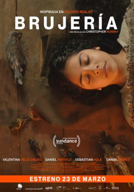 brujeria-afiche-large